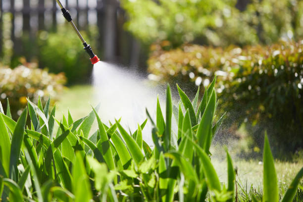 24/7 Emergency Mosquito Control experts in Honeoye Falls, NY
